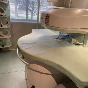Esaote E Scan 0.2T MRI System