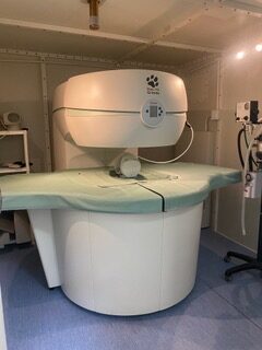 Esaote Vet-MR Grande MRI System